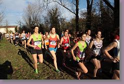 Begles 15.12.13 01 690 * 679 x 453 * (162KB)